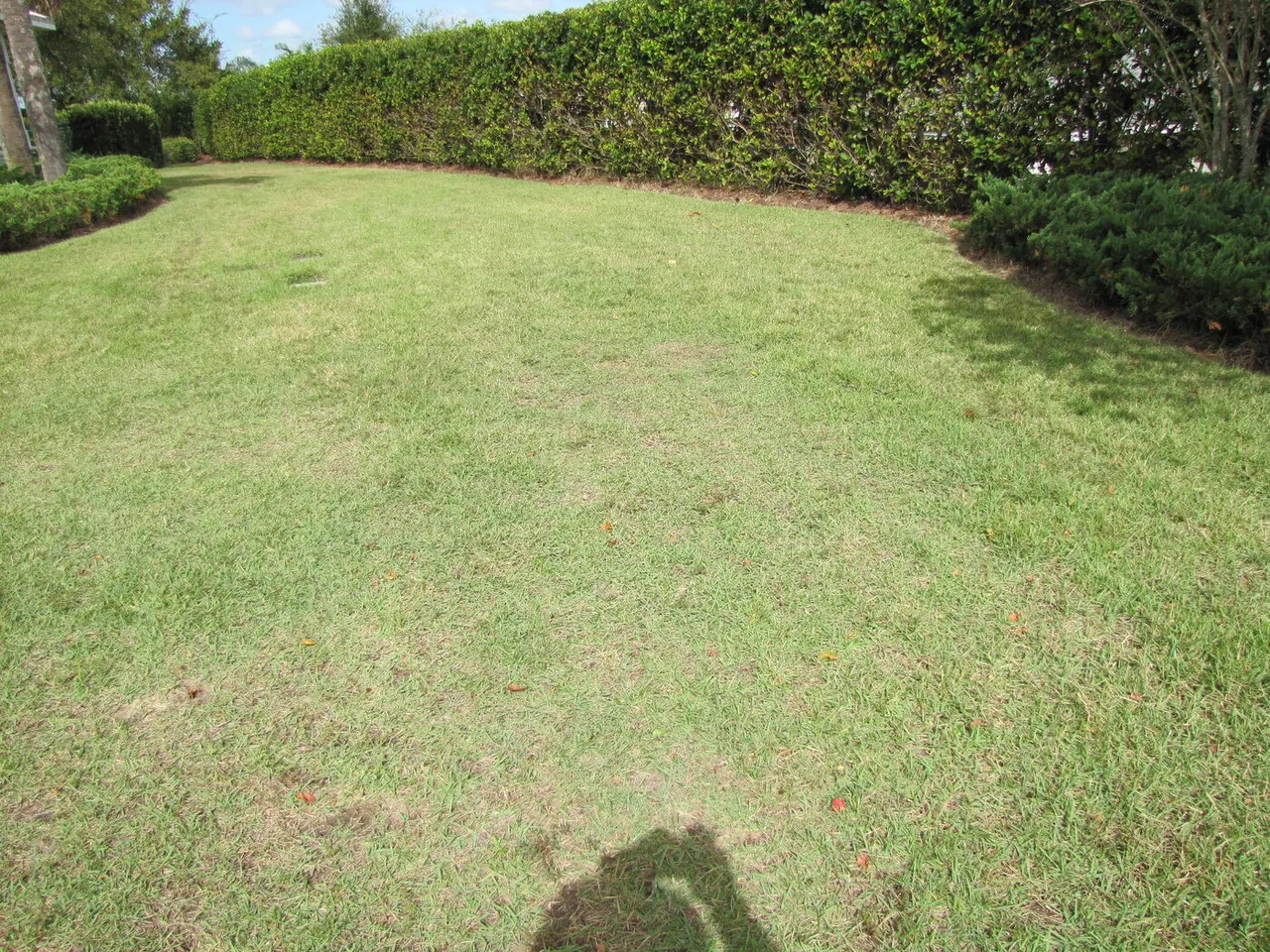 Nematodes (turf-parasitic)